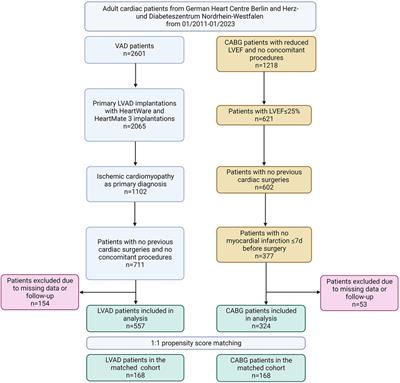 Propensity score-based comparison of high-risk coronary artery bypass grafting vs. left ventricular assist device implantation in patients with coronary artery disease and advanced heart failure
